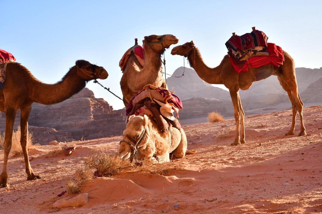 Wadi Rum Stars Camp Exterior photo