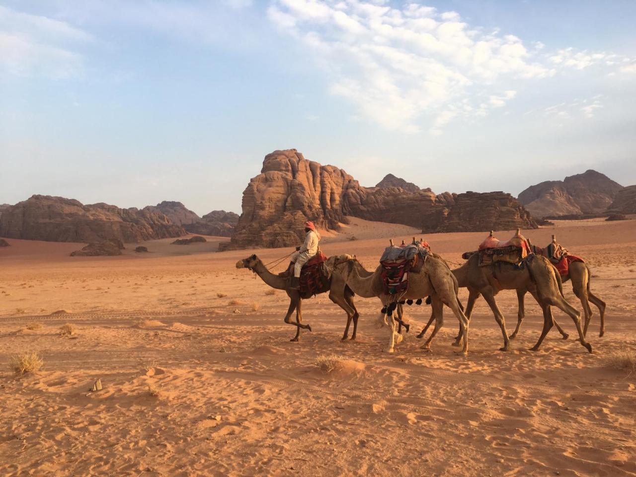 Wadi Rum Stars Camp Exterior photo