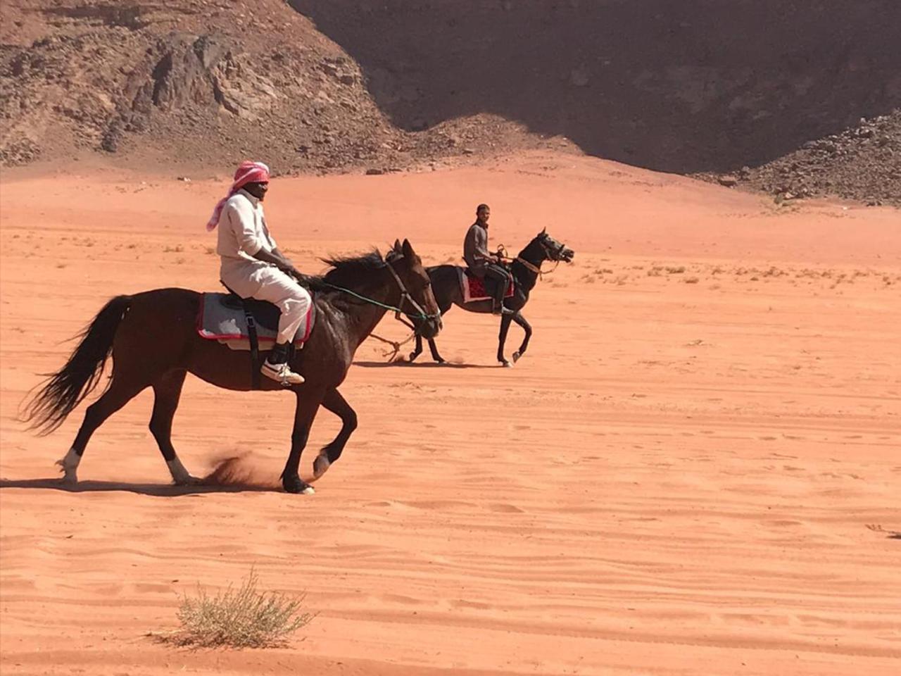 Wadi Rum Stars Camp Exterior photo